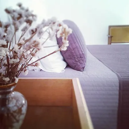 Bed & Breakfast A Casa Di Gaia