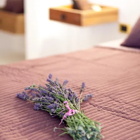 A Casa Di Gaia Bed & Breakfast Vico Del Gargano